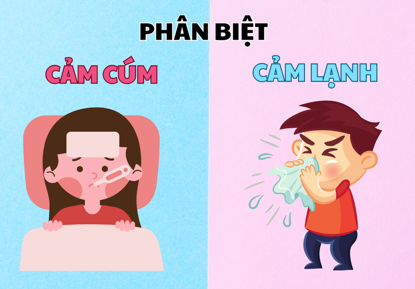 Cảm Cúm Và Cảm Lạnh: Phân Biệt Như Thế Nào?