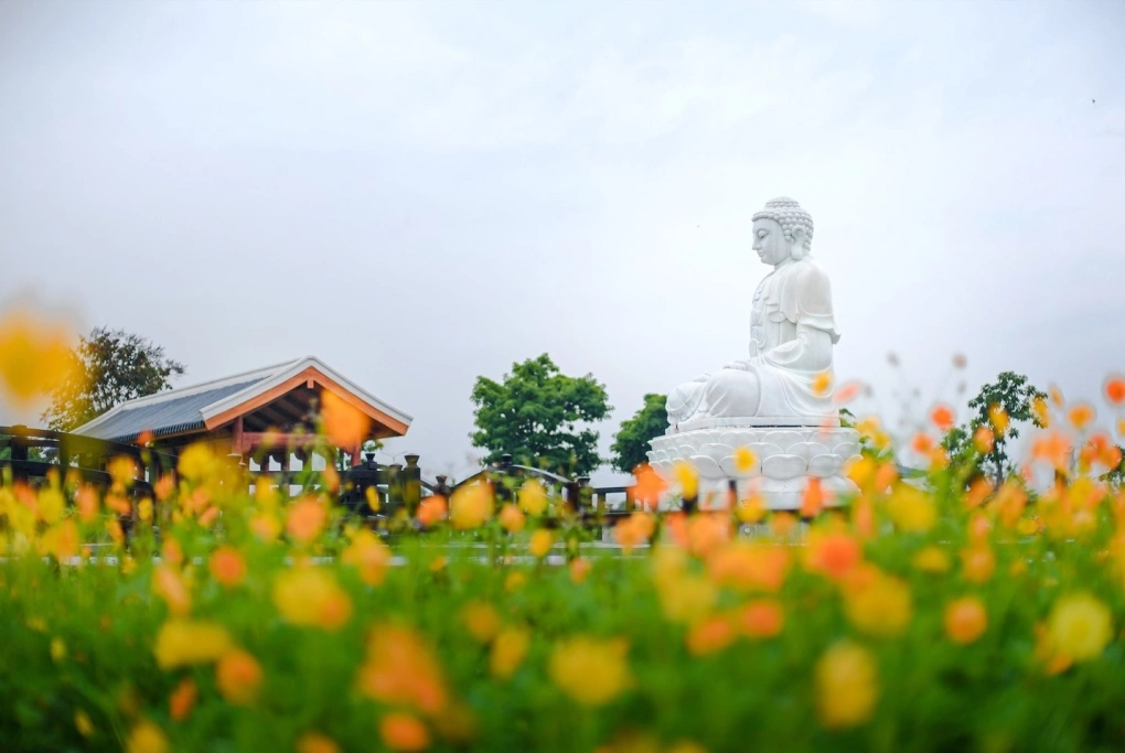 Nhóm Zen thiền mỗi ngày